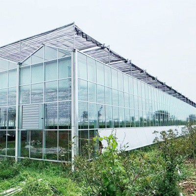 黃平玻璃溫室