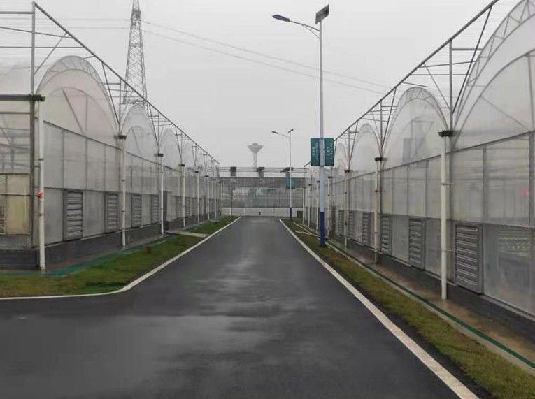 黃平連棟溫室大棚
