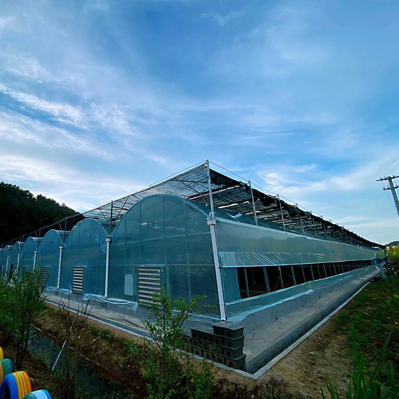 黃平溫室工程