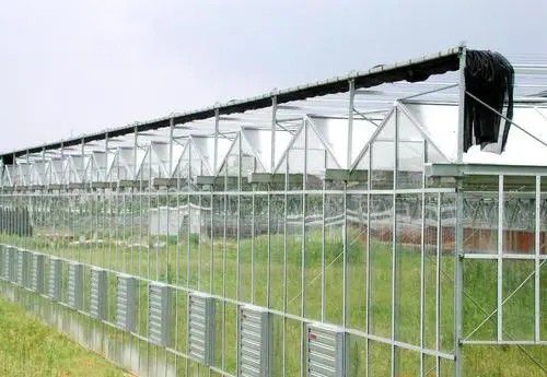 銅川連棟溫室大棚